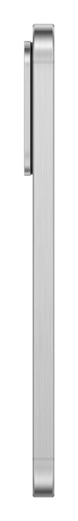 Samsung Galaxy A56 17 cm (6.7") Dual SIM Android 15 5G USB Type-C 8 GB 256 GB 5000 mAh Lys grå