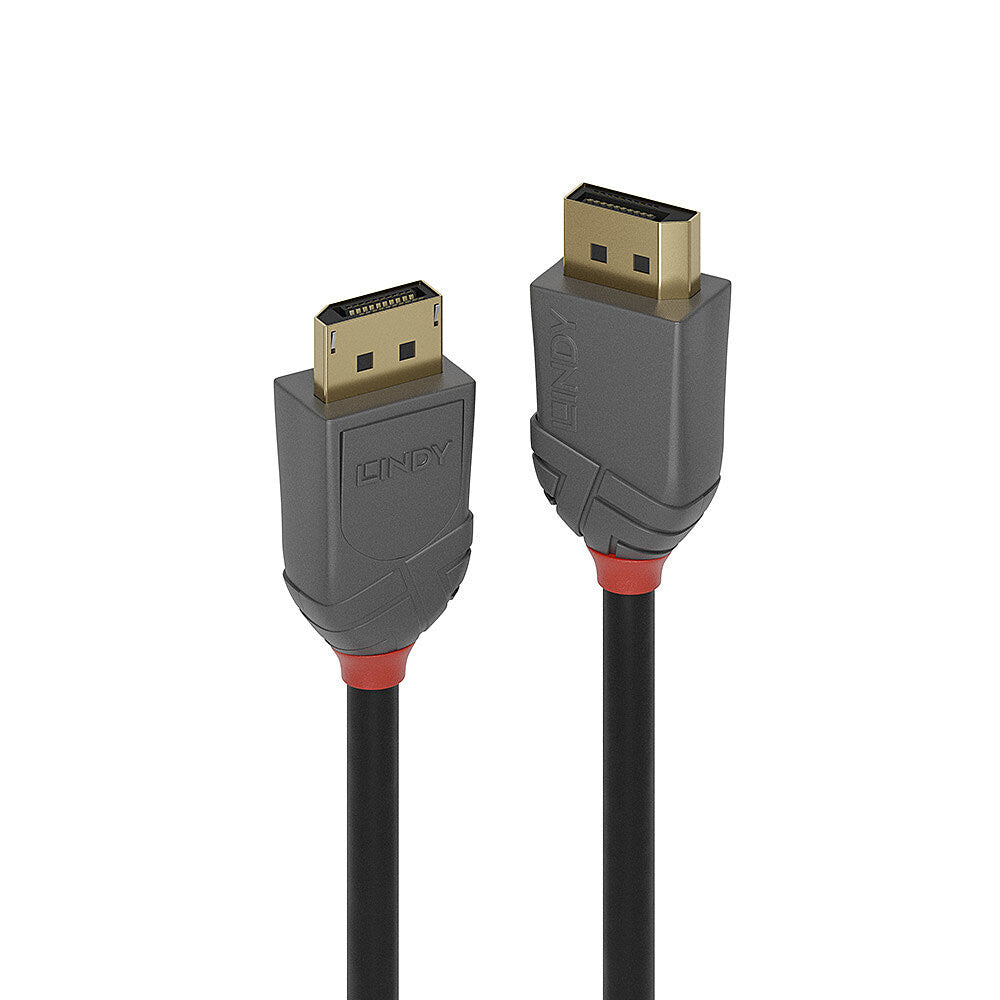 Lindy 36482 DisplayPort kabel 2 m Sort