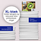 Epson Kiwi Singlepack Black 202 Claria Premium Ink