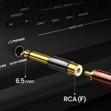 Ugreen 6.35mm jack adapter (mand) til RCA (kvind) guld (AV169 80731)