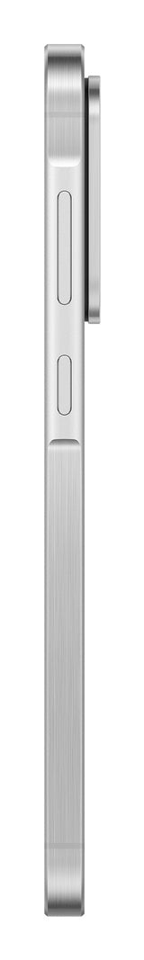 Samsung Galaxy A56 17 cm (6.7") Dual SIM Android 15 5G USB Type-C 8 GB 256 GB 5000 mAh Lys grå