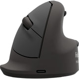 Fellowes 100143582 mus Universel Højre hånd Bluetooth + USB Type-C Optisk 2400 dpi