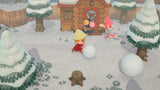 Nintendo Animal Crossing : New Horizons Standard Nintendo Switch