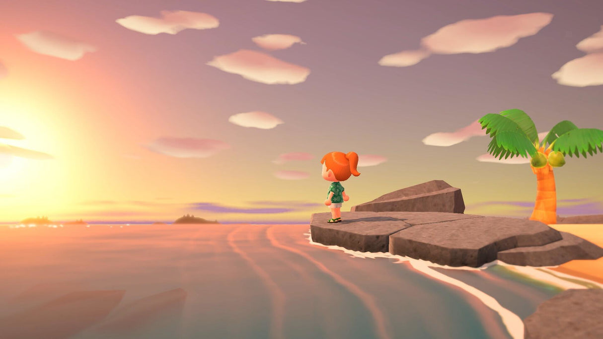 Nintendo Animal Crossing : New Horizons Standard Nintendo Switch
