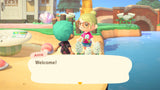 Nintendo Animal Crossing : New Horizons Standard Nintendo Switch