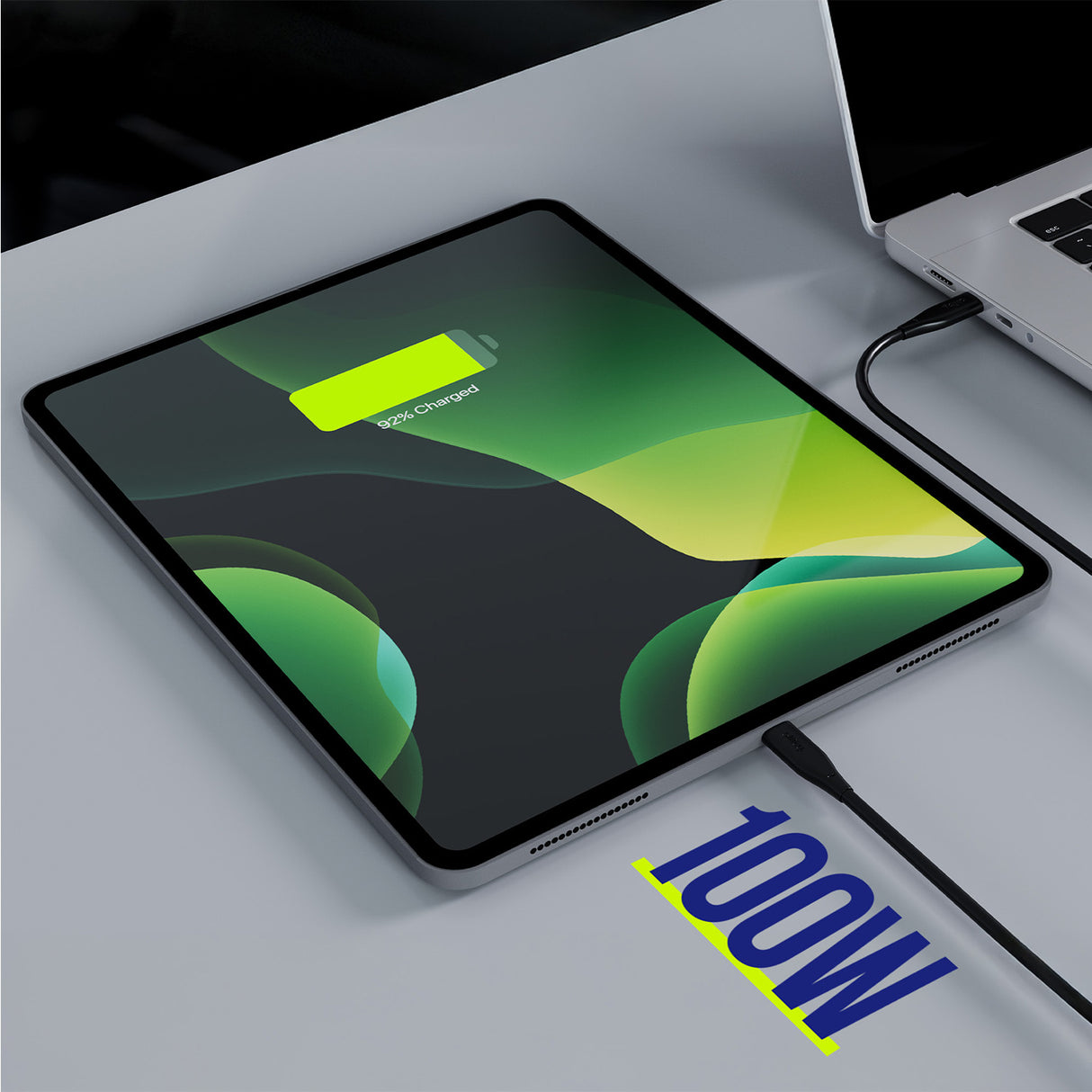 Allity cable AUC-02 USB-C - USB-C 2.0 m 100W black