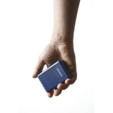 Intenso XS10000 Lithium polymer (LiPo) 10000 mAh Blå