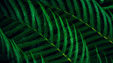 Philips 5000 series 27B2G5200/00 computerskærm 68,6 cm (27") 1920 x 1080 pixel Fuld HD LCD Anthracit