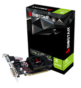 Biostar VN7313THX1 grafikkort NVIDIA GeForce GT 730 2 GB GDDR3