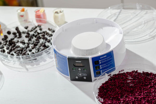 Zelmer ZFD1005 food dehydrator Transparent 520 W