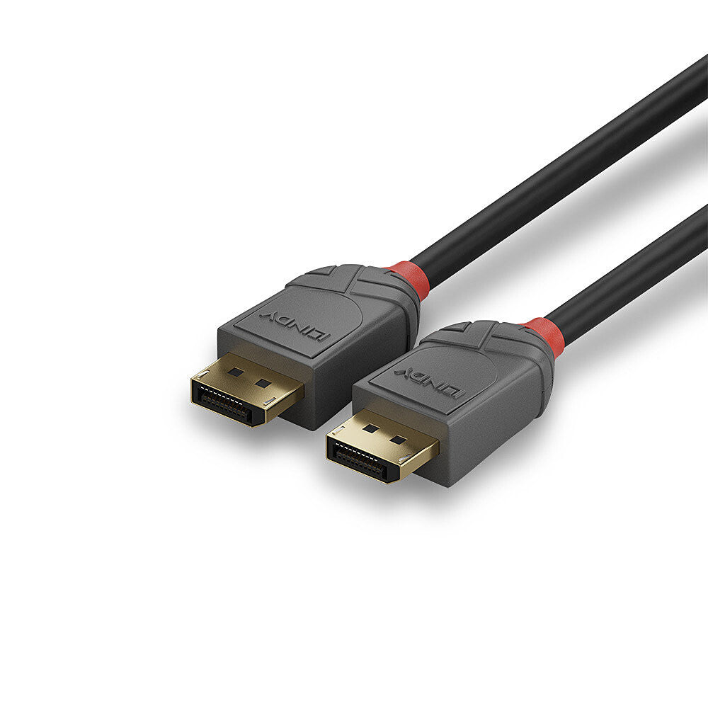 Lindy 36482 DisplayPort kabel 2 m Sort