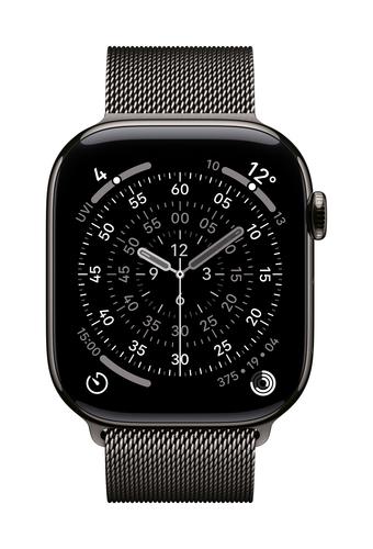 Apple MGJ74ZM/A smart wearable accessory Band Slate colour Stainless steel