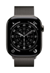 Apple MGJ74ZM/A smart wearable accessory Band Slate colour Stainless steel