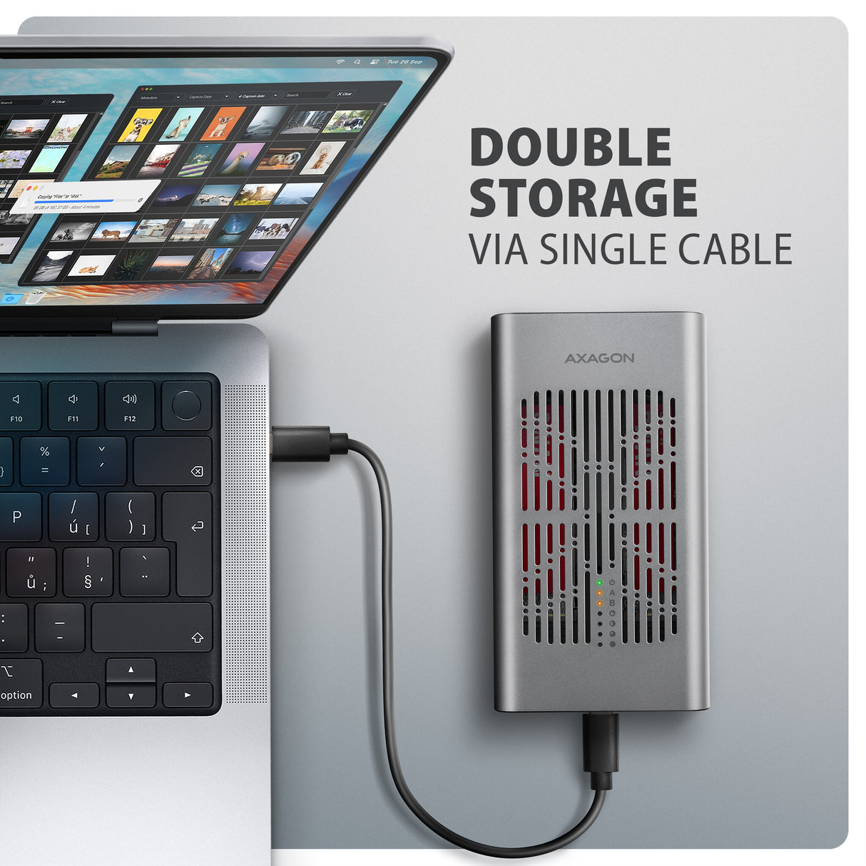 Axagon EEM2-20GD drev dockingstation USB 3.2 Gen 2 (3.1 Gen 2) Type-C Sort, Grå