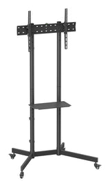 TV stiprinajums Gembird 37" - 70" TV floor stand with caster wheels