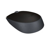 Logitech M171 mus Ambidextrous RF trådløst Optisk 1000 dpi
