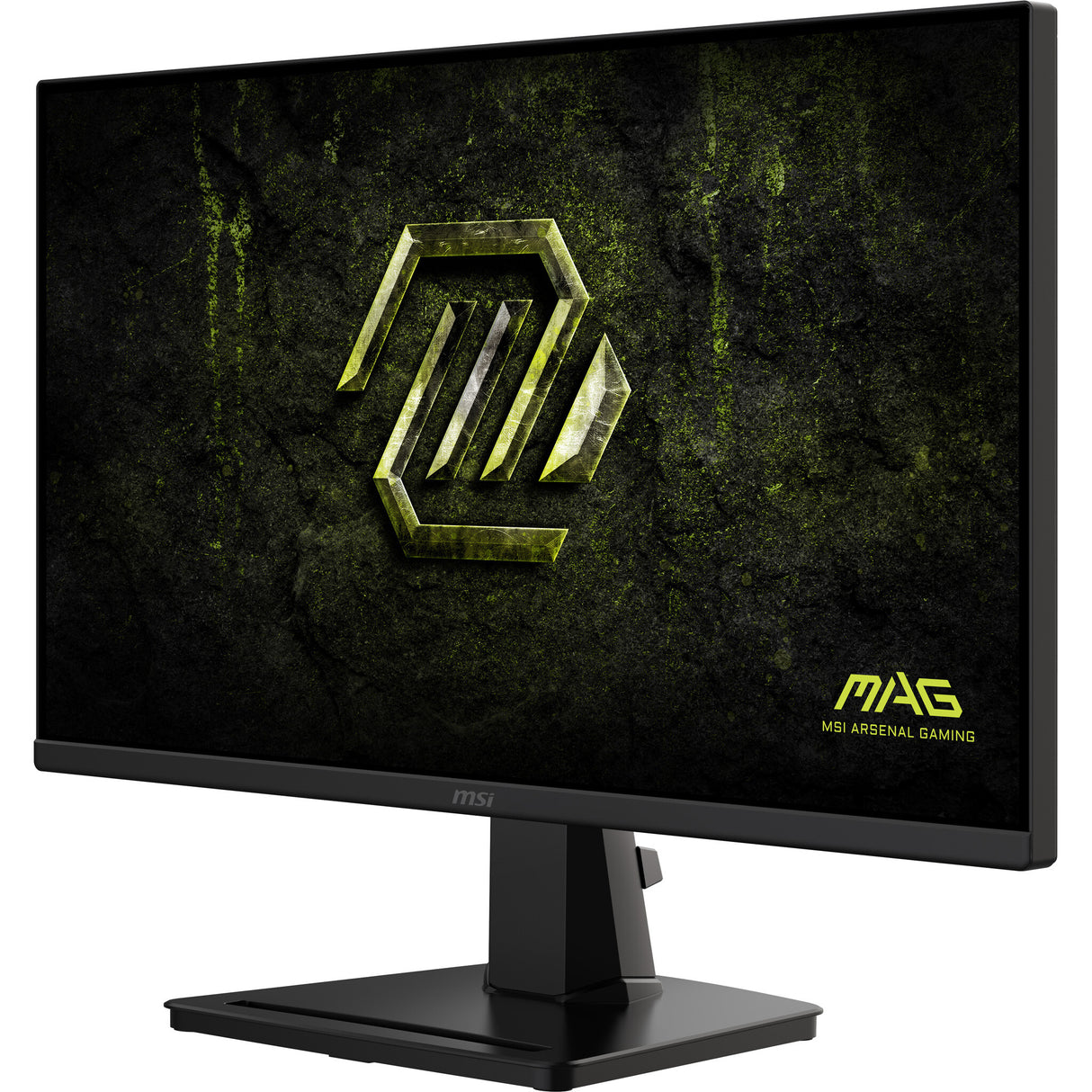 MSI MAG 256F E20 computerskærm 62,2 cm (24.5") 1920 x 1080 pixel Fuld HD LCD Sort
