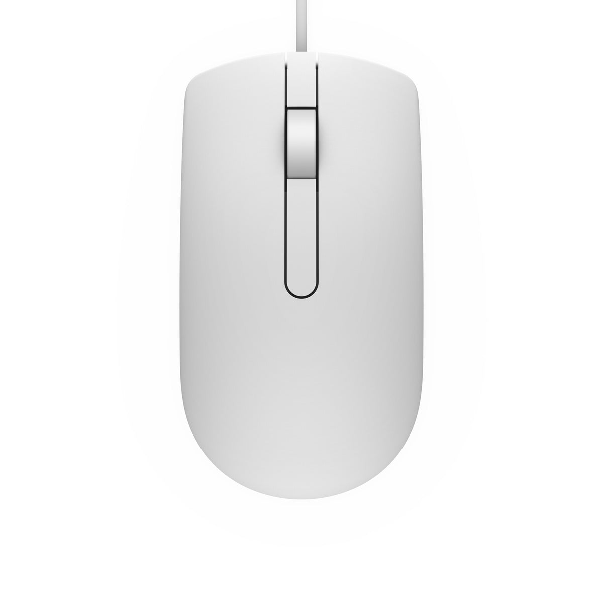 DELL MS116 mus Ambidextrous USB Type-A Optisk 1000 dpi
