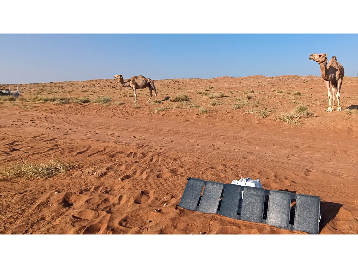 Sandberg 420-67 oplader til mobil enhed Universel Sort Solar Udendørs