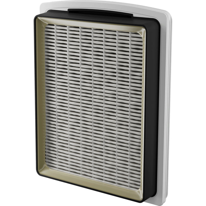Electrolux EL31C2OG 2 L Beholder vakuum Dry 1000 W Poseløs