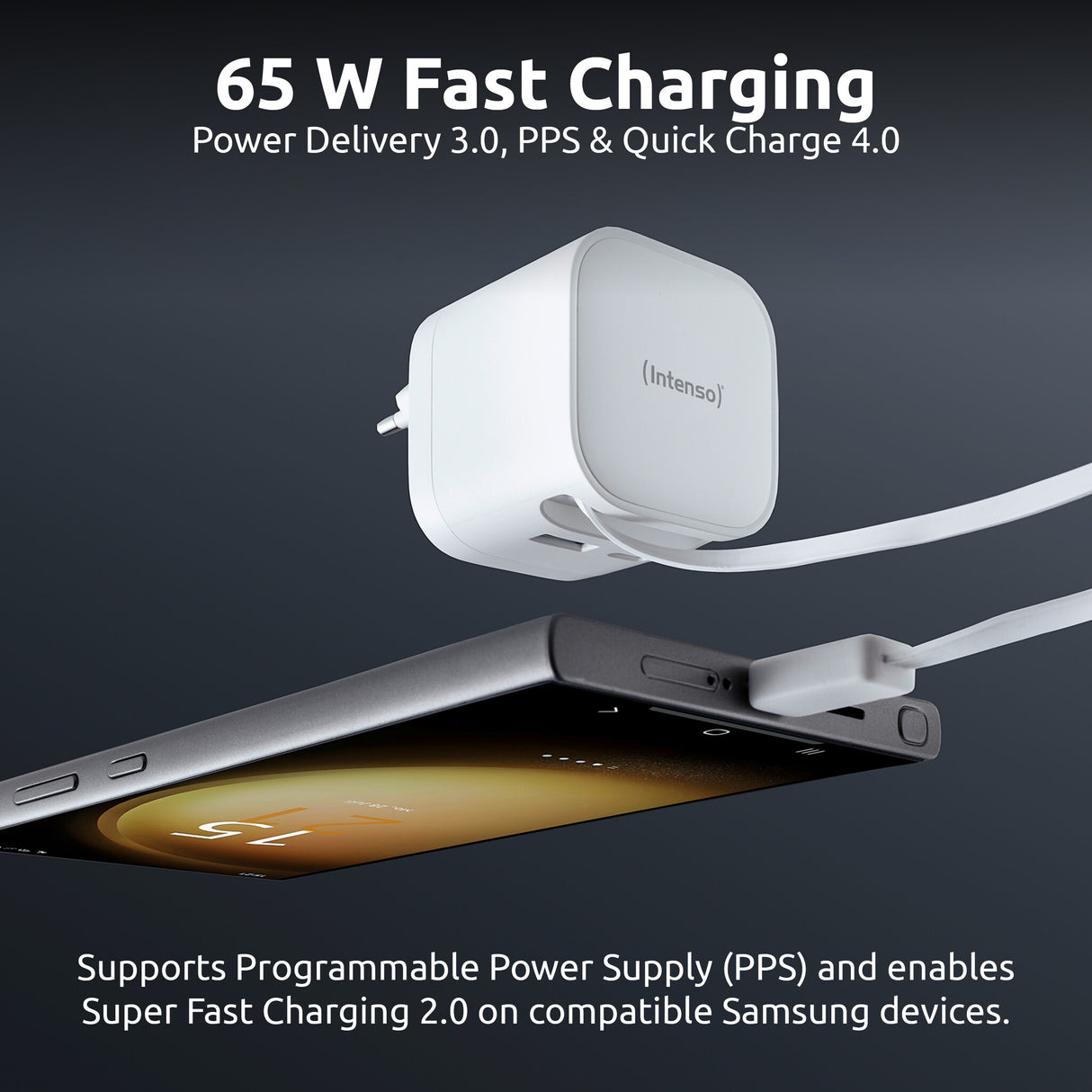 Intenso 7806520 strømadapter og vekselret Indendørs 65 W Sort