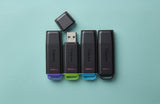 Kingston Technology DataTraveler Exodia USB-nøgle 256 GB USB Type-A 3.2 Gen 1 (3.1 Gen 1) Sort, Grøn