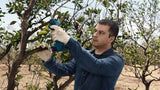 Bosch Pro Pruner Professional batteridreven græssaks 2,5 cm 12 V Lithium-Ion (Li-Ion) Blå