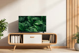 TCL 40S5L QLED Android TV