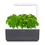 Click & Grow THE SMART GARDEN 3 home garden Grey