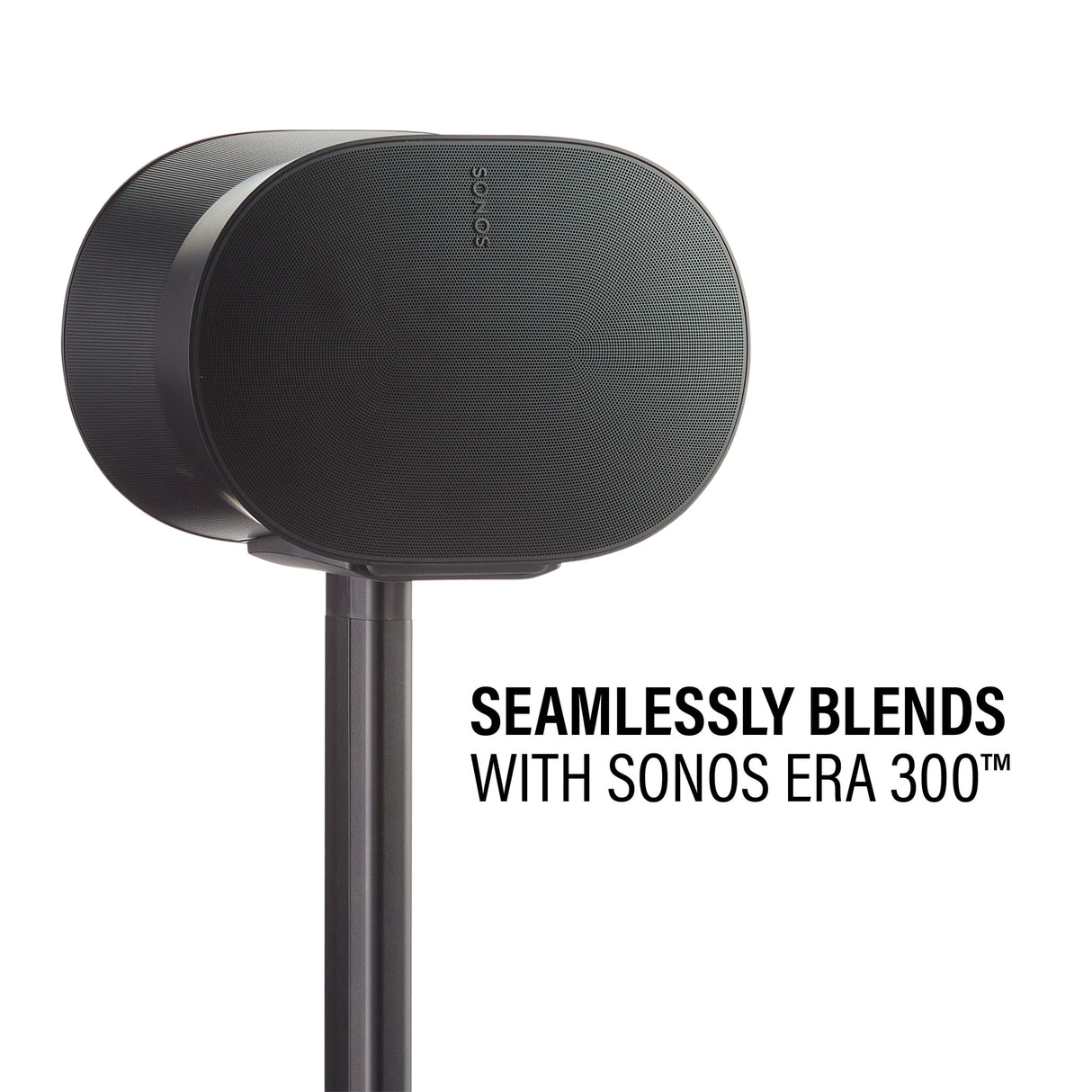 SANUS WSSE31 Gulv Sort