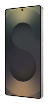 Samsung Galaxy S25 Ultra 17,5 cm (6.9") Dual SIM Android 15 5G USB Type-C 12 GB 1 TB 5000 mAh Sort, Titanium