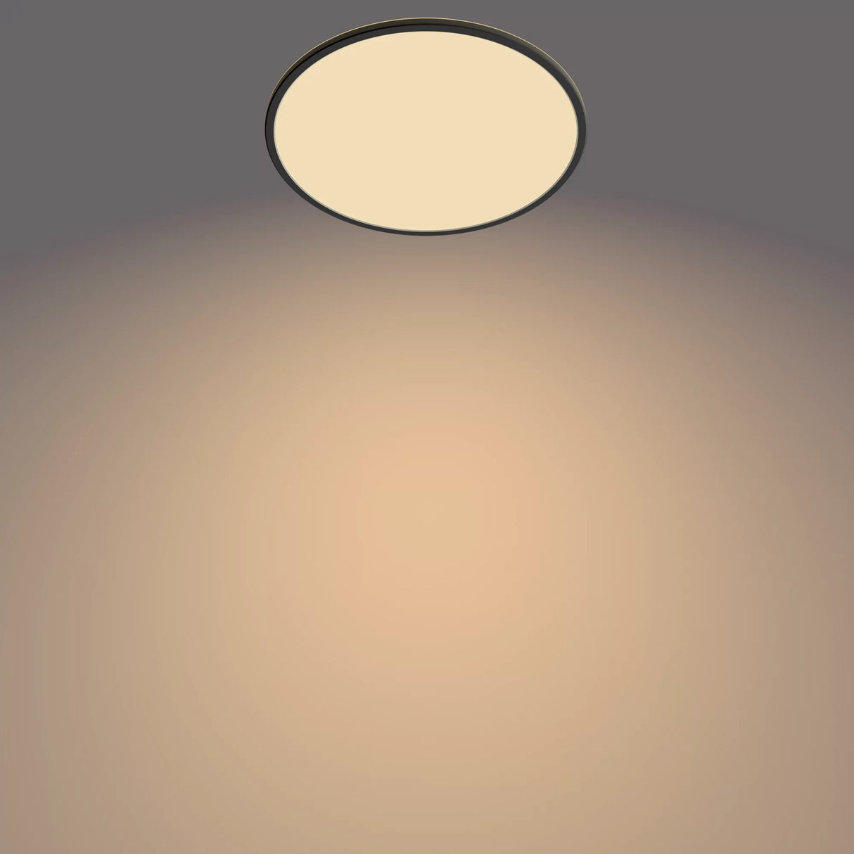 Philips Funktionel Super Slim loftslampe 22 W
