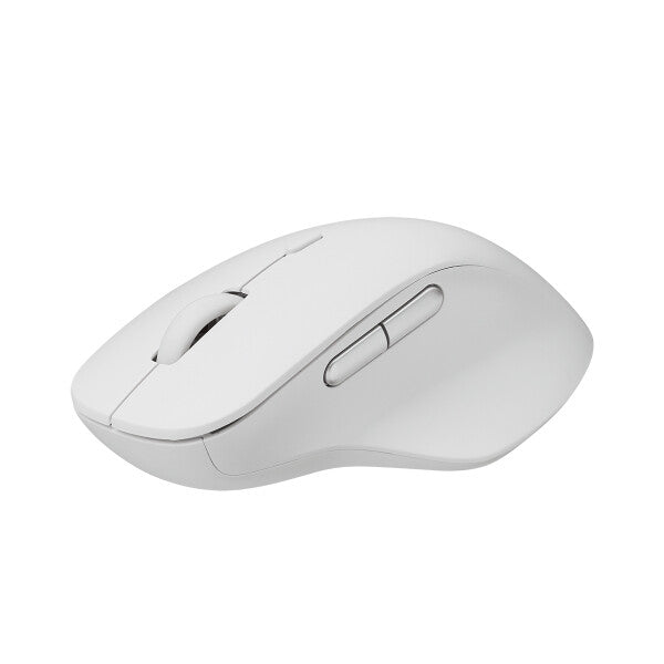 Rapoo M50 Plus mus Kontor Højre hånd RF trådløst Optisk 3600 dpi