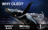 LG OLED55C54LA OLED 4K Smart TV