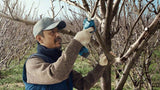 Bosch Pro Pruner Professional batteridreven græssaks 2,5 cm 12 V Lithium-Ion (Li-Ion) Blå