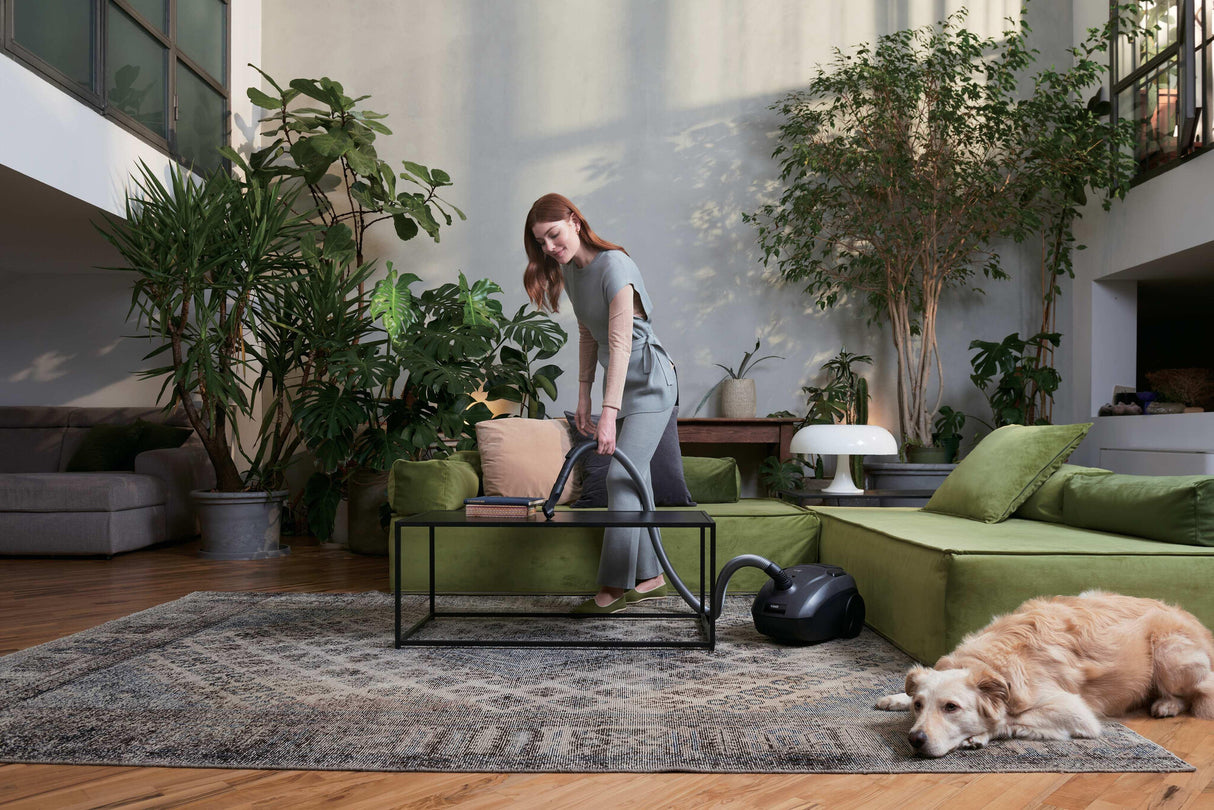 Hoover HE120PET 011 2,5 L Beholder vakuum Dry 700 W Støvpose