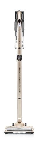 Eta Gold Power 2-in-1 stick vacuum Battery Dry HEPA Bagless 0.4 L 2.5 Ah