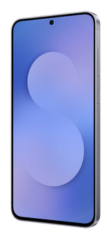 Samsung Galaxy S25 FE 17 cm (6.7") Dual SIM Android 16.0 5G USB Type-C 8 GB 128 GB 4900 mAh Marineblå