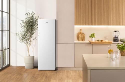 Gorenje FN4172CW Stående fryser Fritstående 194 L Hvid