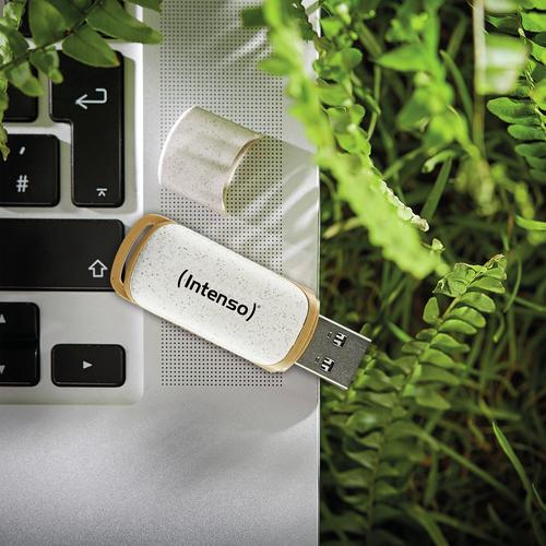 Intenso Green Line USB-nøgle 64 GB USB Type-A 3.2 Gen 1 (3.1 Gen 1) Beige, Brun