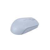 Lenovo 300 mouse Office Ambidextrous RF Wireless Optical 1000 DPI