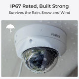 Reolink P437 - 4K Outdoor Camera, IK10 Vandal-Proof, PoE, 5X Optical Zoom, Color Night Vision, Smart Detection