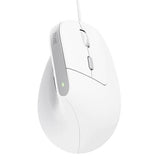 Trust Bayo II mouse Office Right-hand USB Type-A Optical 2400 DPI