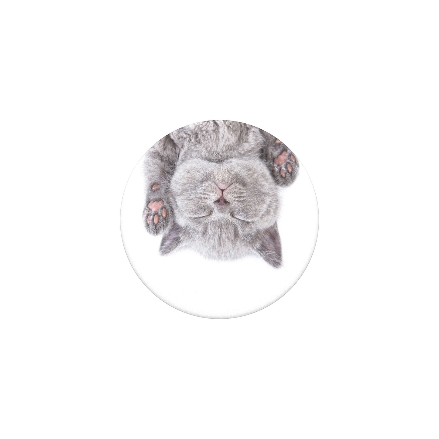 POPSOCKETS Cat Nap Aftageligt Greb m. Standerfunktion