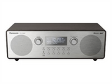 PANASONIC RF-D100BTEGT - DAM-FM RADIO